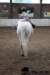 img_7831stal_de_eik_small.jpg