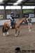 img_7832stal_de_eik_small.jpg