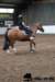 img_7833stal_de_eik_small.jpg