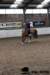 img_7834stal_de_eik_small.jpg