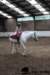 img_7836stal_de_eik_small.jpg