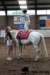img_7841stal_de_eik_small.jpg