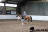 img_7845stal_de_eik_small.jpg