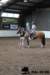 img_7846stal_de_eik_small.jpg