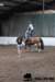 img_7847stal_de_eik_small.jpg