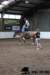 img_7848stal_de_eik_small.jpg