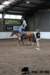 img_7849stal_de_eik_small.jpg