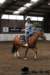 img_7851stal_de_eik_small.jpg