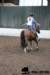 img_7853stal_de_eik_small.jpg