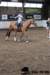 img_7856stal_de_eik_small.jpg