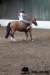 img_7857stal_de_eik_small.jpg