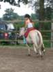 img_3193_small.jpg