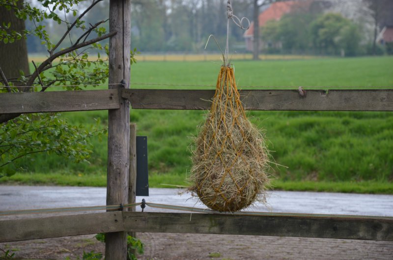 dsc_0463.jpg